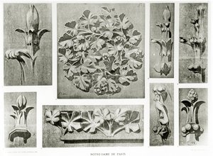 Architectural details for the restoration of Notre Dame by Eugene Emmanuel Viollet le Duc